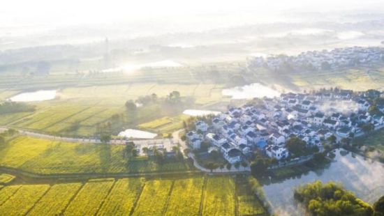 第十四屆中國·高淳國際慢城金花旅游節(jié)活動 圖片作者:高淳國際慢城管委會提供