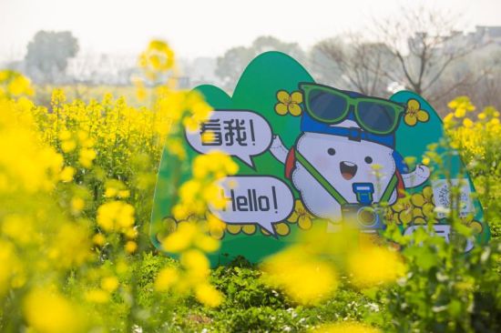 第十四屆中國·高淳國際慢城金花旅游節(jié)活動 圖片作者:高淳國際慢城管委會提供